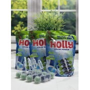 Шарики для унітазу HOLLI 4шт Хвоя